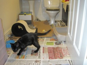 Charlies bedroom in my bathroom September 2013