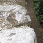 A rough wall and the tread of concrete underfoot