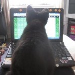 A computer humming or a cat purring