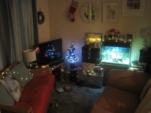 Christmas Grotto Amanda Green Sandra Dean